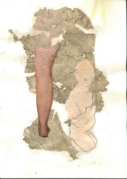 41-z-31